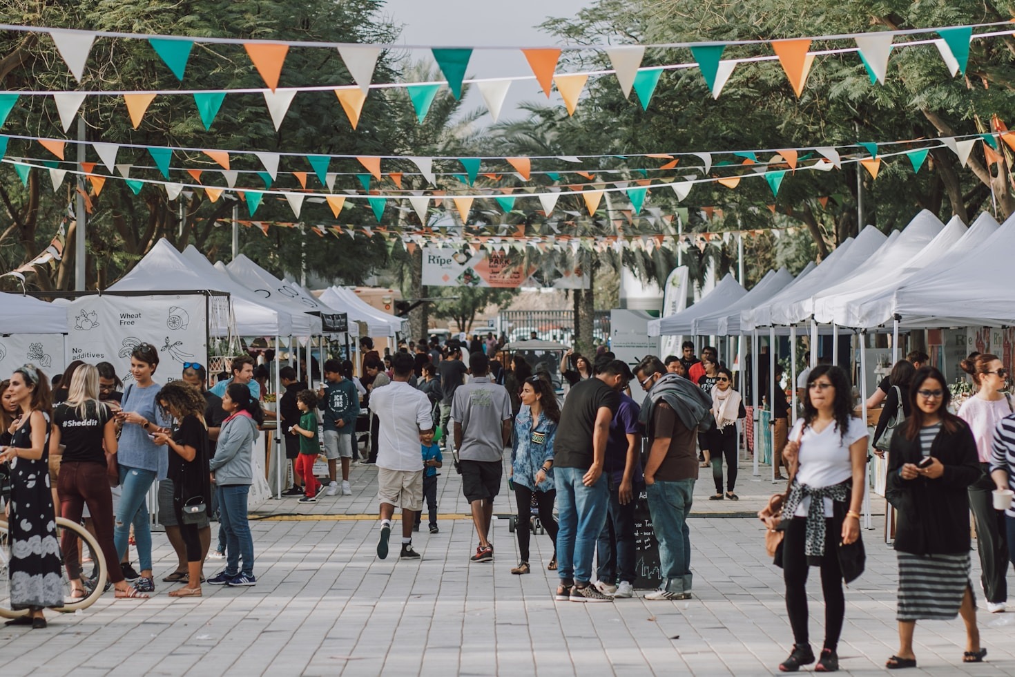 Organiser des festivités : les coulisses du succès